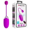 APP Long Distance Egg Vibrator