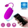 APP Long Distance Egg Vibrator