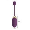 APP Long Distance Egg Vibrator