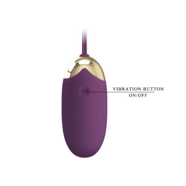 APP Long Distance Egg Vibrator