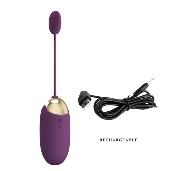 APP Long Distance Egg Vibrator