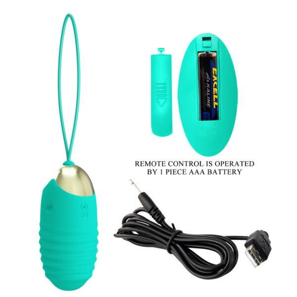 Striped Remote Egg Vibrator