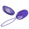 Wirelessl Egg Vibrator BI-014362WL