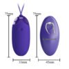 Wirelessl Egg Vibrator BI-014362WL