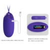 Wirelessl Egg Vibrator BI-014362WL