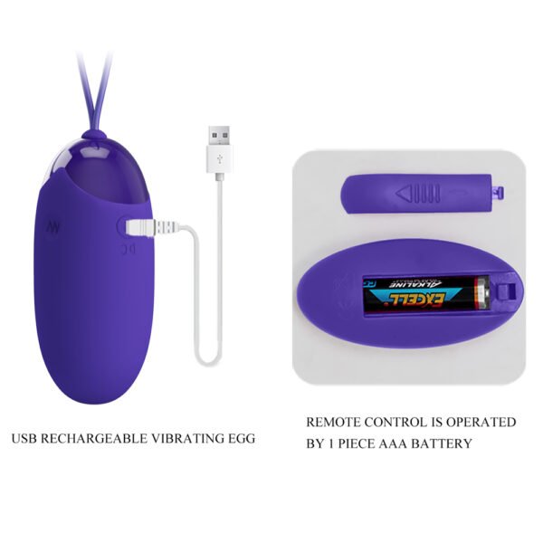 Wirelessl Egg Vibrator BI-014362WL
