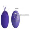 Wirelessl Egg Vibrator BI-014362WL