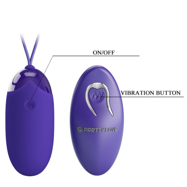 Wirelessl Egg Vibrator BI-014362WL