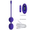 Two Ball Egg Vibrator BI-014548WL