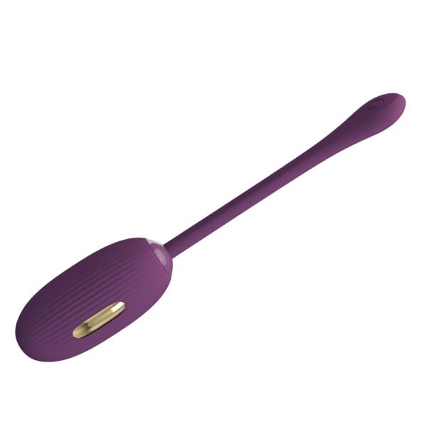 APP Long Distance Egg Vibrator