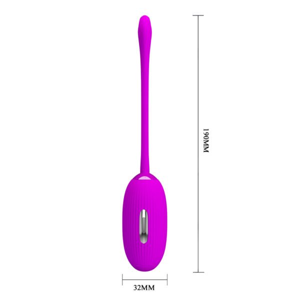 Remote Controlled Egg Vibrator BI-014609W