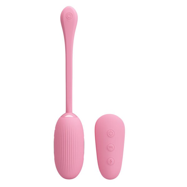 Remote Controlled Egg Vibrator BI-014609W