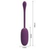 APP Long Distance Egg Vibrator