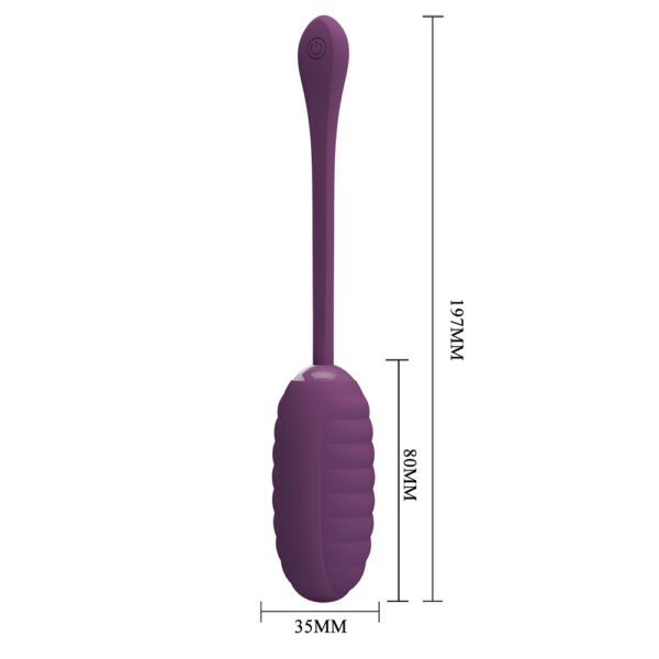 APP Long Distance Egg Vibrator