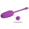 Mulberry Fruit Egg Vibrator BI-014708