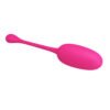 Memory Function Egg Vibrator BI-014786