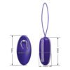 Smooth Egg Vibrator BI-014865WL