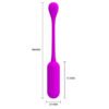 Remote Controlled Egg Vibrator BI-014867W