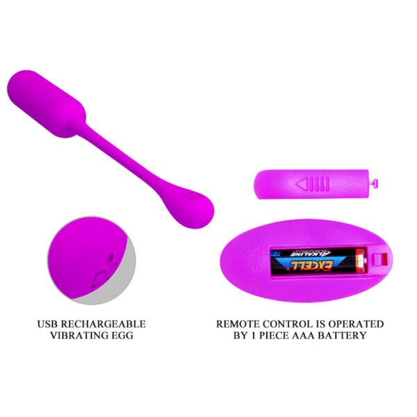 Remote Controlled Egg Vibrator BI-014867W