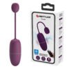 APP Long Distance Egg Vibrator