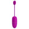 APP Long Distance Egg Vibrator