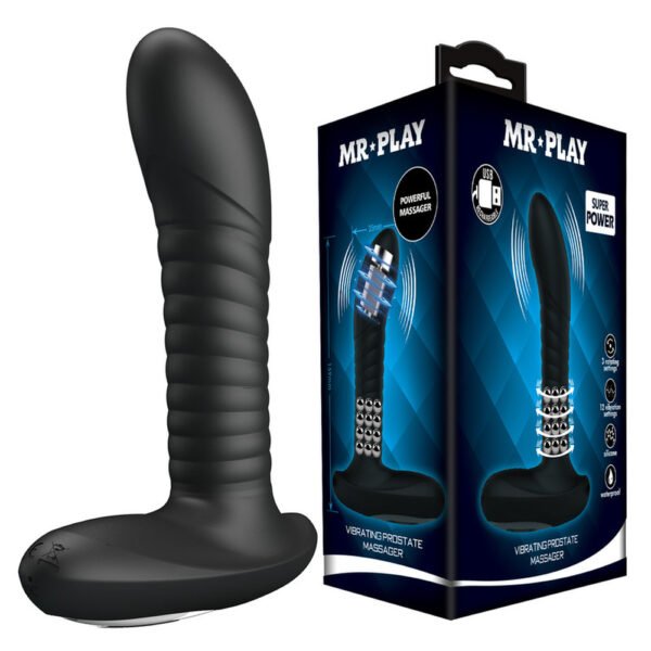 Mr.Play Prostate Anal Vibrator BI-040065-1-MR