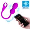 APP Long Distance Egg Vibrator