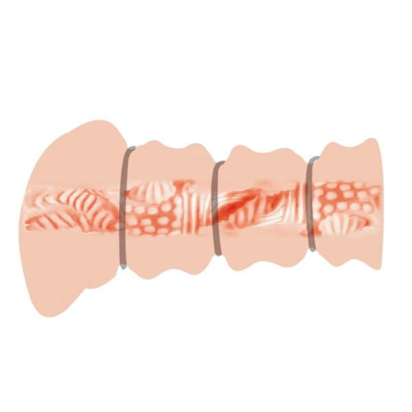 Pocket Vagina With 3 Cock Rings