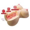 Female Torso Sex Doll BM-009265N