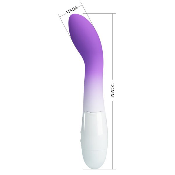 Silicone G-Spot Vibrator BI-014220