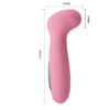 Pink Massager Vibrator BI-014359