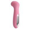 Pink Massager Vibrator BI-014359