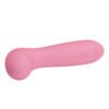 Pink Massager Vibrator BI-014359