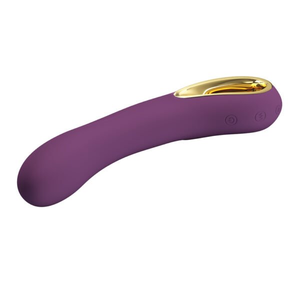 APP Control G-Spot Vibrator BI-014412HP