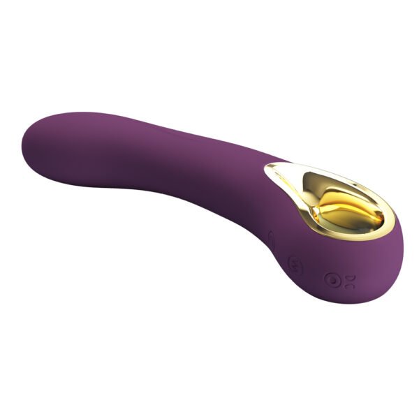 APP Control G-Spot Vibrator BI-014412HP