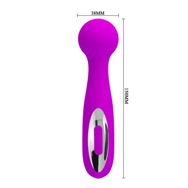 Round Massager Wand BI-014432