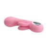 Silicone Rabbit Vibrator BI-014507