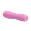 Silicone Clitoral Vibrator BI-014563