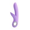 Silicone Rabbit Vibrator BI-014571