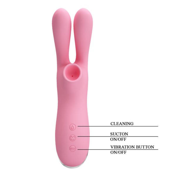 Rabbit Suction Vibrator BI-014601