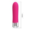 4.8" Clitoral Vibrator BI-014610
