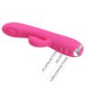 Suction Rabbit Vibrator BI-014727