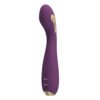 APP Control G-Spot Vibrator BI-014765HP
