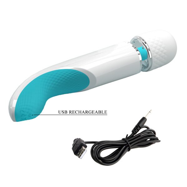 Colorful Massager Wand BI-014808