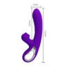 Suction Rabbit Vibrator BI-014833