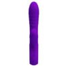 Suction Rabbit Vibrator BI-014833