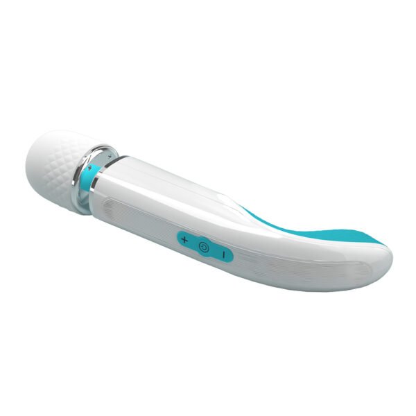 Colorful Massager Wand BI-014848