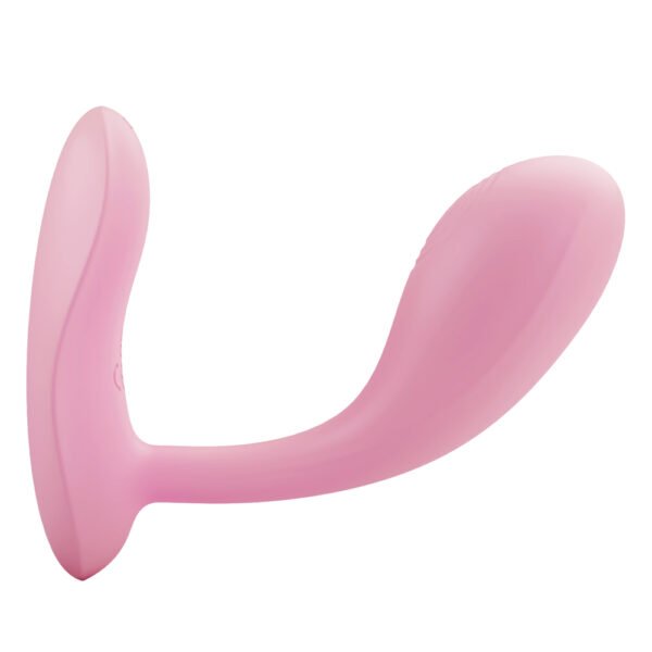 APP Control Anal Vibrator  - Baird