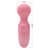 Mini Massager Vibrator