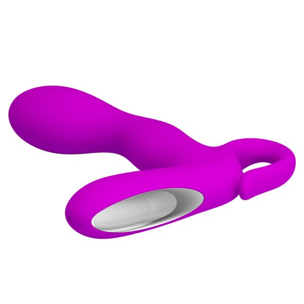 Vibrating Prostate Massager BI-040028